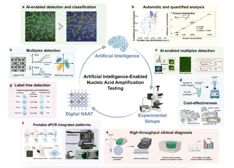 AI-Powered Digital Nucleic Acid Amplification Testing: Transforming Precision Medicine and Molecular Diagnostics