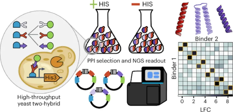 Can We Measure Protein Interactions at Unprecedented Scale? MP3-seq Says Yes!