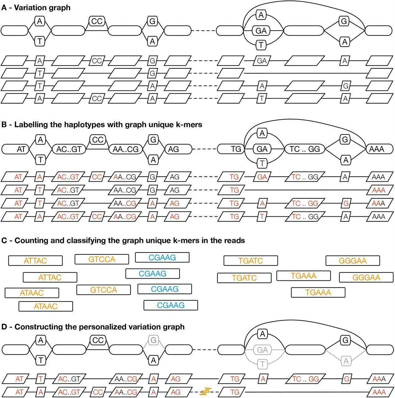 Personalizing Pangenomes: A New Approach to Reduce Reference Bias