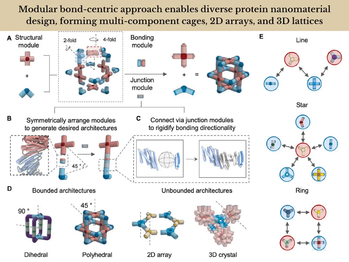 Building with Proteins: A New Modular Approach to Nanomaterials Design