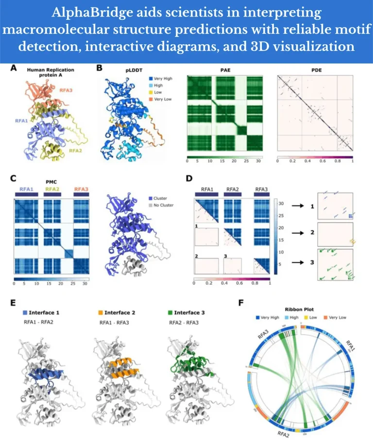 Decoding Complex Interactions: How AlphaBridge Enhances Macromolecular Structure Interpretation
