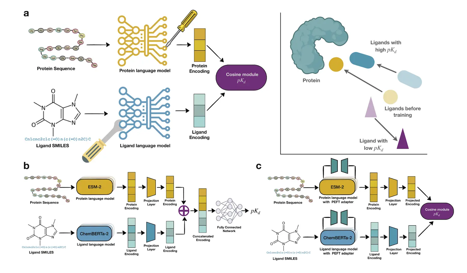 How BALM is Redefining Binding Affinity Prediction for Unseen Targets and Drugs