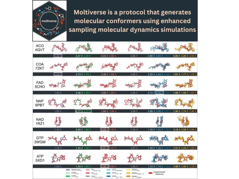 Introducing Moltiverse: A Cutting-Edge Tool for Accurate Conformer Generation in Drug Discovery