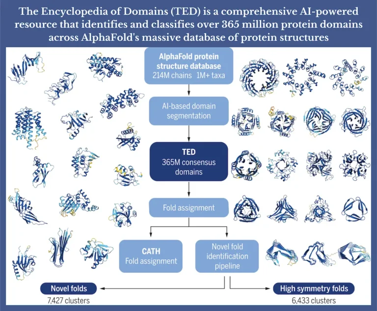 The Encyclopedia of Domains (TED): Mapping the Diversity of Protein Domains in the AlphaFold Database