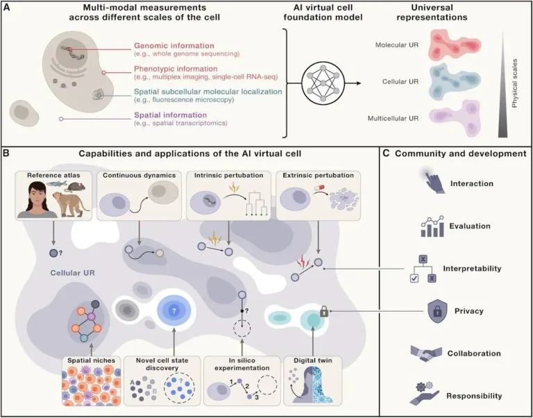 Building the Virtual Cell: AI's Next Frontier in Biology