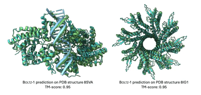 MIT Unveils Boltz-1: An Open-Source Tool for Biomolecular Structure Prediction