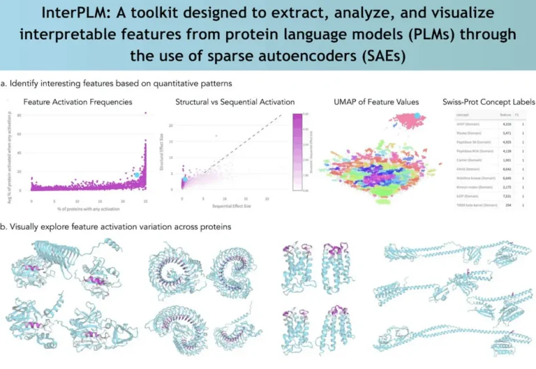 Can InterPLM Decode the Hidden Language of Protein Modeling and Design AI?