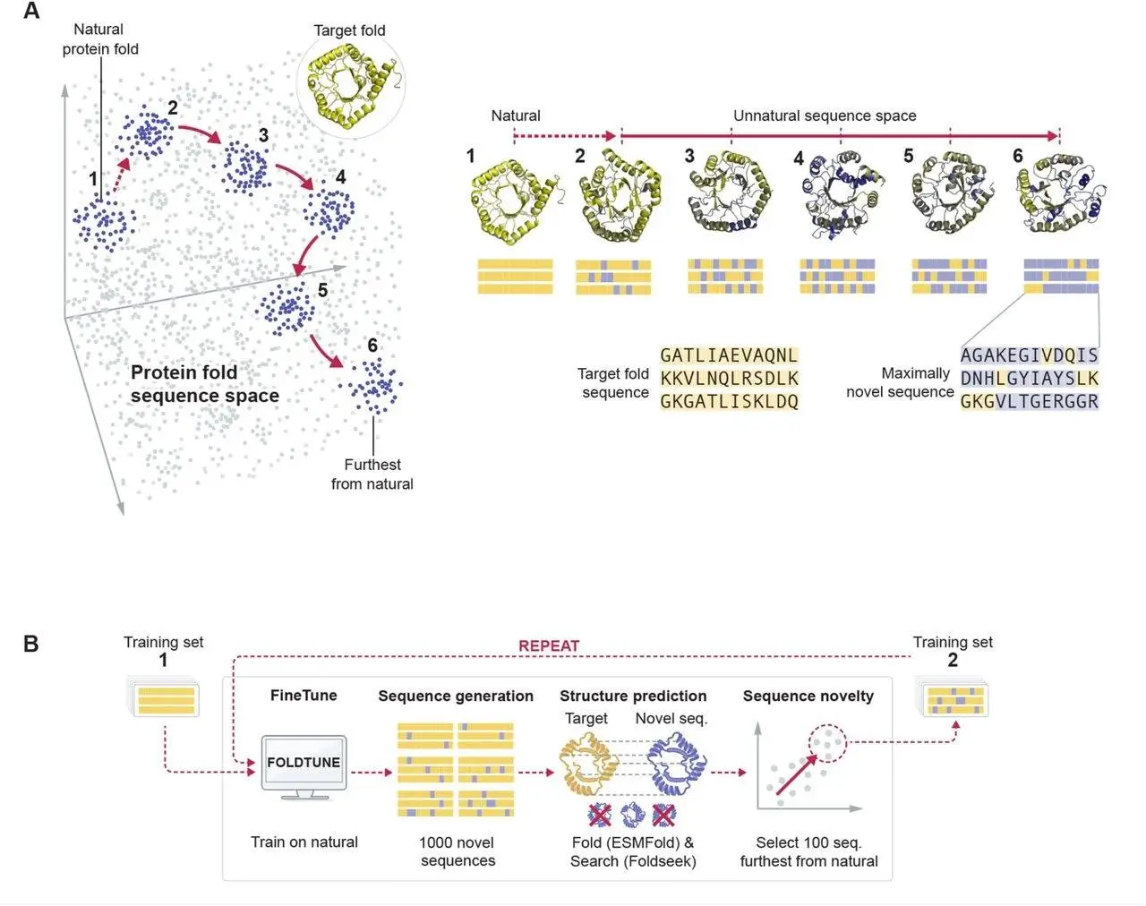 Exploring the Uncharted: How FoldTuned Language Models Reveal Hidden Sequence-Structure Insights