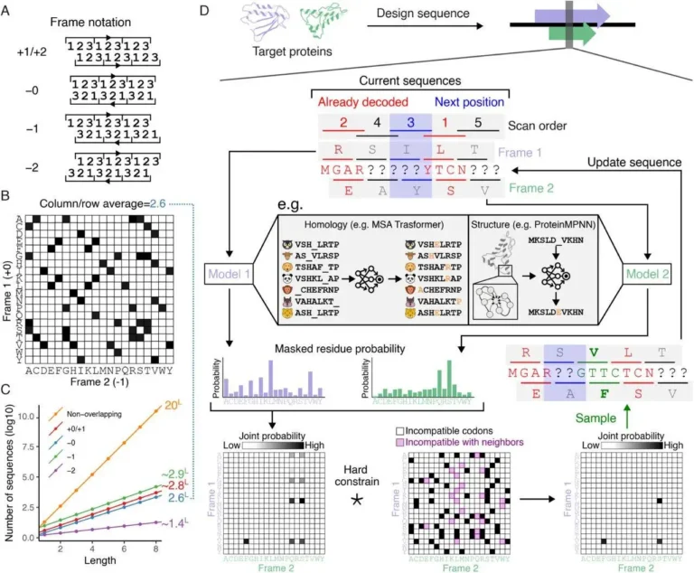 Overlapping Genes, Unfolding Insights: Synthetic Biology Meets AI