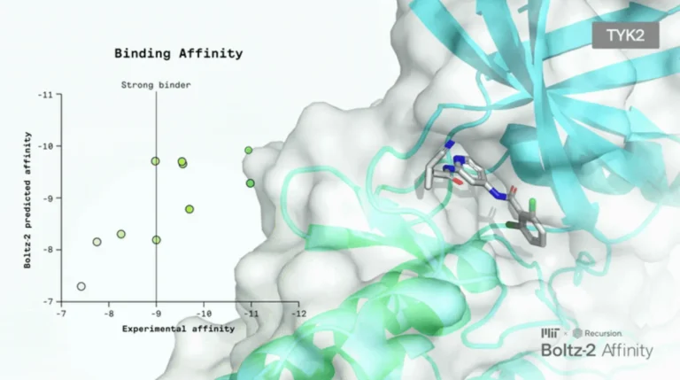 From Boltz-1 to Boltz-2: Did We Finally Bridge the Gap Between Structure and Affinity?