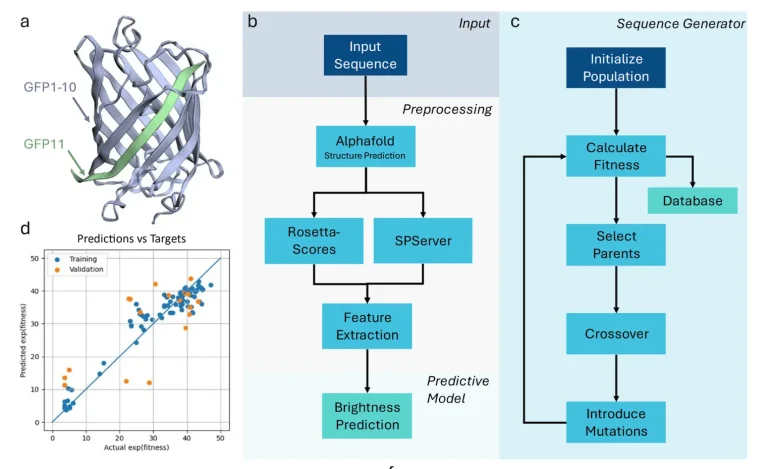 Minimal Data, Maximal Impact: The Future of Peptide Design with MDMI