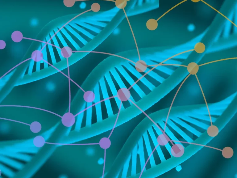 Human Genome in 4D