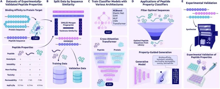 PeptiVerse