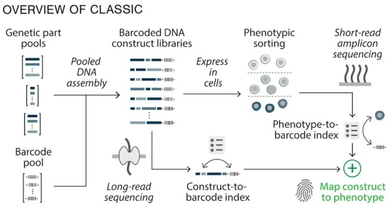 Overview of CLASSIC