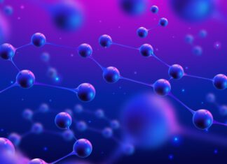 Modeling Protein Fitness Using Evolutionary and Assay-Labeled Data Modeing Protein Fitness