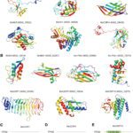 Structure Prediction with a New Model Mapped 500 Previously Unsolved Proteins