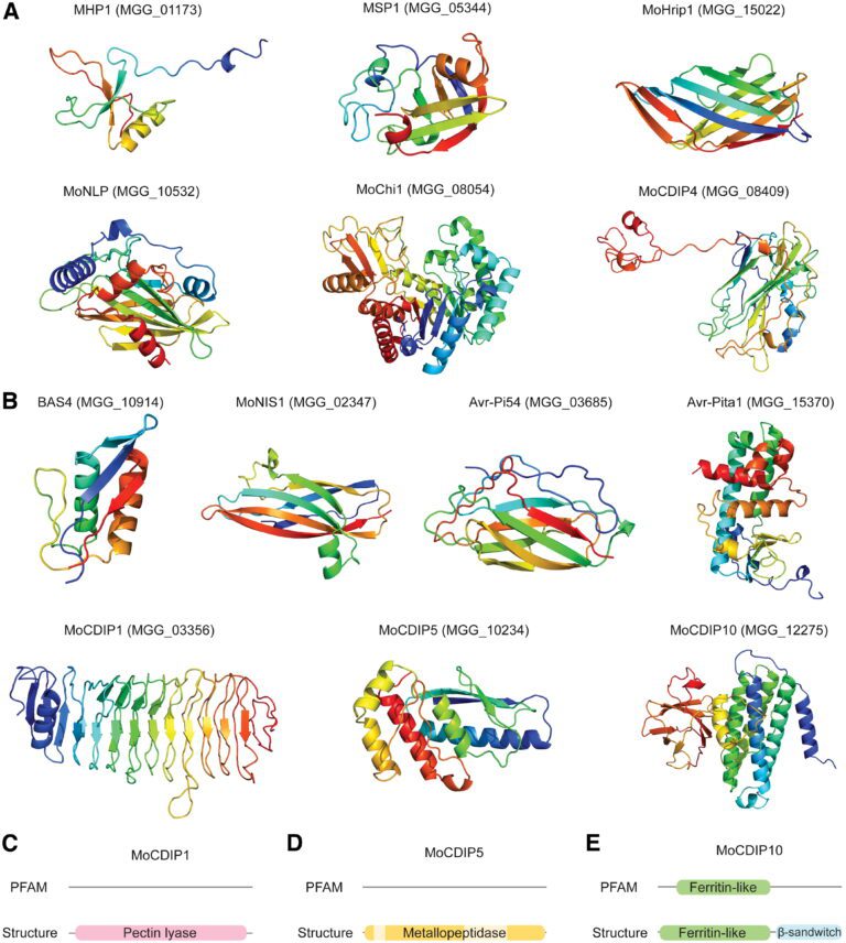 Structure Prediction with a New Model Mapped 500 Previously Unsolved Proteins