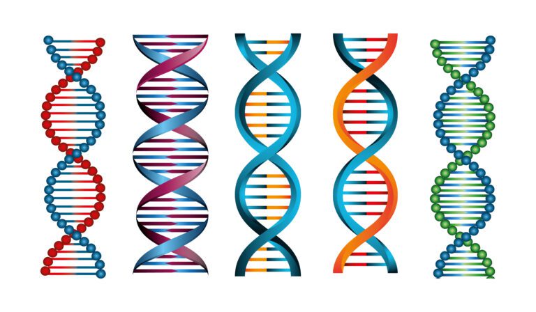 The Earth BioGenome Project