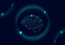 AI Driven Analysis of Cell Diversity in Drosophila melanogaster Brain Artificial intelligence brain