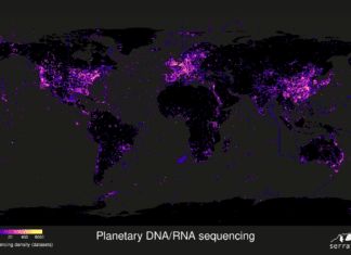 Cloud Computing Helps Researchers Identify Over 100,000 RNA Viruses Including Nine New Coronavirus Species New RNA viruses