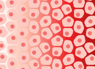 Expanding the View of how Mutations Impact Cells with a High-throughput Approach ‘Perturb-seq’ Perturb-seq for mutations in single cancer cell