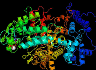 Genome-Scale Protein Structure and Function Prediction with High-Performance Computing Toolkit Scientists applied supercomputing and new deep learning technologies for Genome-Scale Protein Structure and Function Prediction.