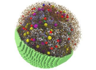 Simulation of a Living Cell Enabled with NVIDIA GPUs Simulation of a Living Cell Enabled with NVIDIA GPUs