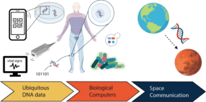 DNA for identification and computing applications