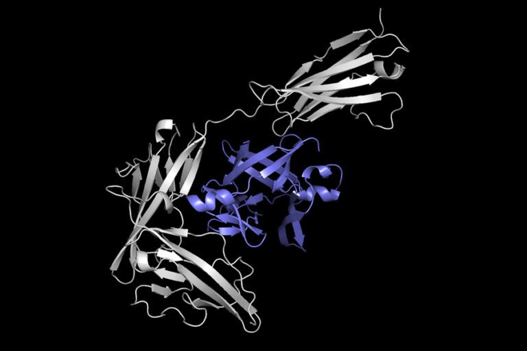 MIT_Protein-Docking-01-PRESS_0