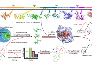 COVID-19 Phytochemical Drug Discovery with High-Resolution Computational Docking and Machine Learning Enabled Binder Prediction COVID-19 Phytochemical Drug Discovery