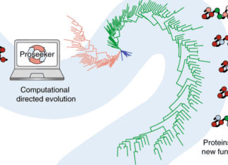 Simulating Directed Evolution With A New Computational Tool Simulating Evolution