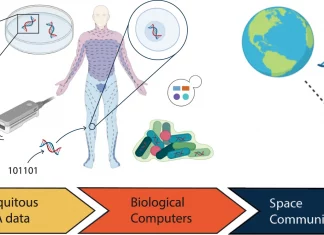 Top 7 Applications of Synthetic DNA in Information Technology Synthetic DNA
