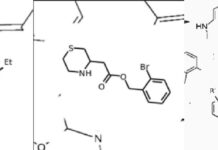 Image2SMILES – A Transformer Based Neural Network Model for Extracting Chemical Formulas From Research Papers Examples of molecules generated by the contamination augmentation algorithm.