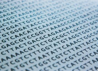 Fastest DNA Sequencing that Uses AI and Accelerated Computing Sets Guinness World Record For Completing DNA Sequencing in Just Five Hours and Two Minutes dna-sequence-1570578