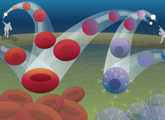 Predicting Cell Fates and Genetic Perturbations with a New Computational Tool – ‘Dynamo’ Dynamo - a computational tool for predicting cell fates and genetic perturbations.