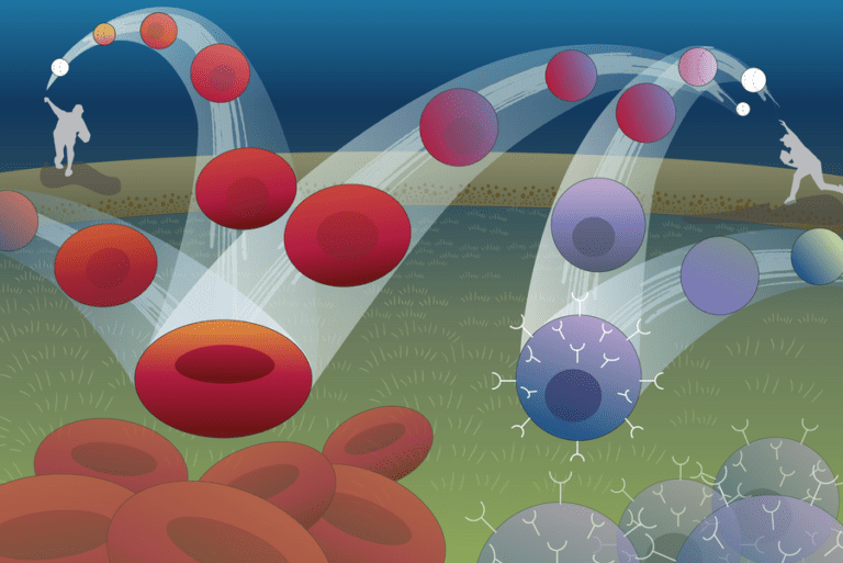 Dynamo - a computational tool for predicting cell fates and genetic perturbations.