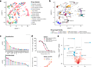 A New Tool ‘FORALL’ for Profiling Multi-Omics and Drug Response in Childhood Acute Lymphoblastic Leukemia FORALL - acute lymphoblastic leukemia