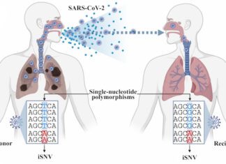 Computer Scientists from Rice University Develop a Program ‘Variabel’ to Find ‘Low-Frequency’ Variants in Sequence Data VARIABEL
