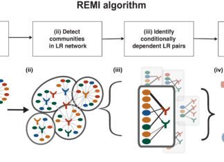 Advanced Algorithm REMI for Reconstruction of Codependent Cellular Interactions in Lung Adenocarcinoma REMI Algorithm