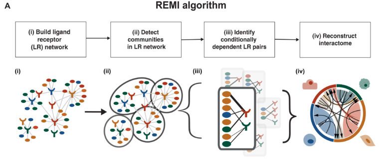 REMI Algorithm