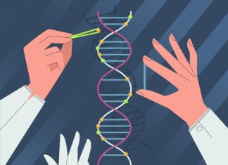 Scientists Developed a New Improved Prime Editor in Plants to Produce Resistant and Improved Crops New Improved Prime Editor in Plants to Produce Resistant and Improved Crops
