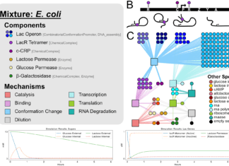 ‘BioCRNpyler’ – A Python Package to Build, Manage and Explore Intricate Biochemical Models BioCRNpyler - A Python Package to Build Manage and Explore Intricate Biochemical Models