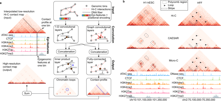 Deep Learning Model Epigenomics