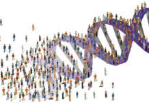 Scientists Revealed the First Complete, Gapless Human Genome Sequence ‘T2T-CHM13’ Complete Human Genome Sequence T2T CHM13