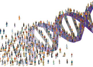 Scientists Revealed the First Complete, Gapless Human Genome Sequence ‘T2T-CHM13’ Complete Human Genome Sequence T2T CHM13