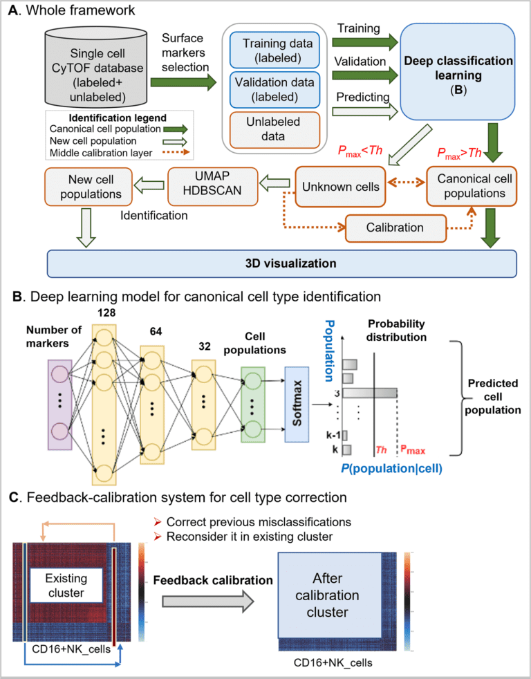 DGCyTOF model - single-cell mass cytometry