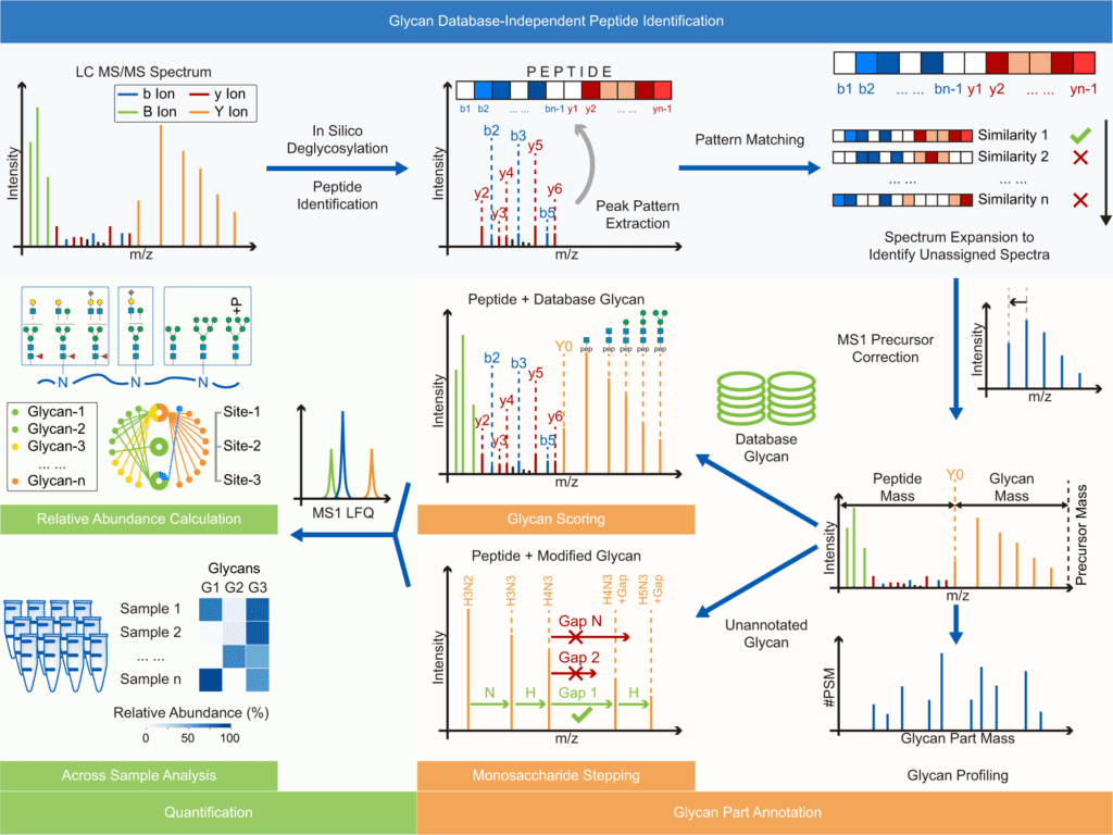 Glyco-Decipher - A New Glycoproteomics Analysis Tool for Sensitive Deciphering of Protein Glycosylation.