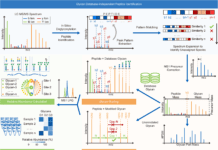 Glyco-Decipher – A New Glycoproteomics Analysis Tool for Sensitive Deciphering of Protein Glycosylation Glyco-Decipher