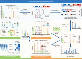 Glyco-Decipher – A New Glycoproteomics Analysis Tool for Sensitive Deciphering of Protein Glycosylation Glyco-Decipher