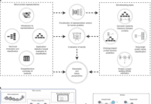 Protein Function and Properties Characterization Using Language Models Protein Function